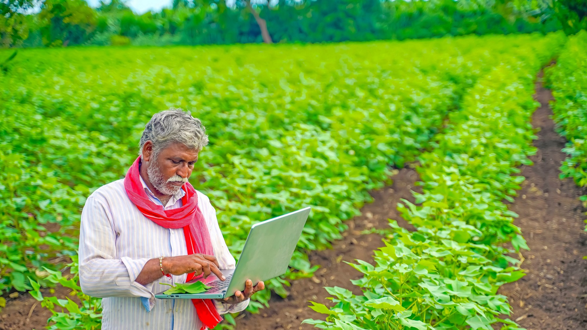 indian-farmer-smart-agriculture-cut.jpg